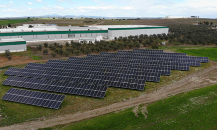 Nova Delta instala 800 painéis solares em Campo Maior