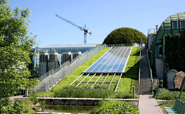 Esta nova ferramenta da AIE quer ajudar os governos a levar a cabo uma recuperação económica sustentável