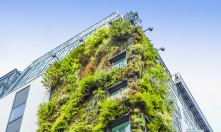 ANPQ: Sustentabilidade, um desafio transversal também para os edifícios