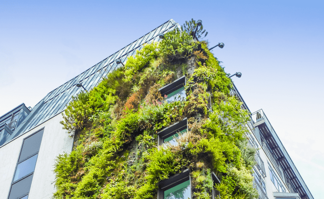 ANPQ: Sustentabilidade, um desafio transversal também para os edifícios