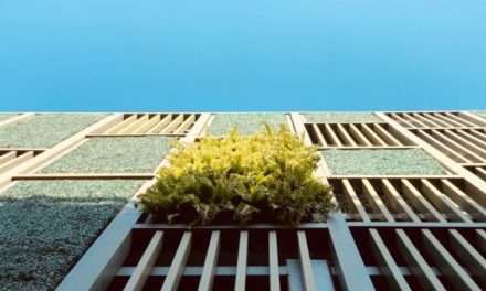 Projecto ibérico LIFE-myBUILDINGisGREEN lança formação sobre a aplicação de soluções de base natural aos edifícios