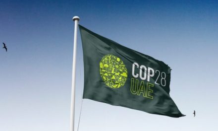 ADENE na COP28 e os contributos para um futuro mais sustentável