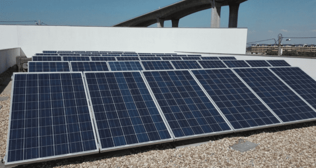 Electricidade: Coopérnico reforça aposta em tarifários indexados e dinâmicos em 2024