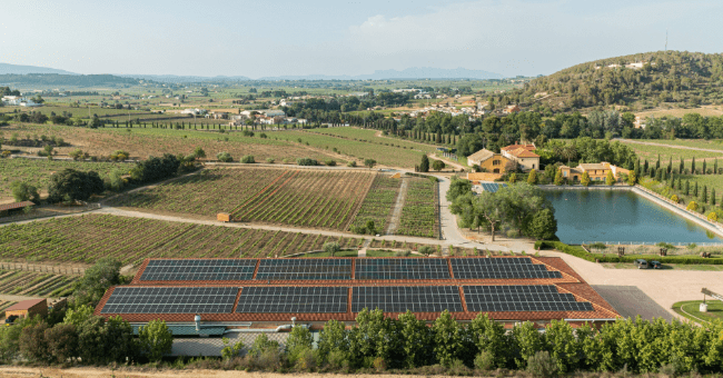 Vinhos com sabor a sol: projeto de energia solar com a Suministros Orduña