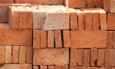 Conselho Europeu adopta legislação para materiais de construção mais ecológicos e inteligentes