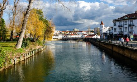 Tomar e Valongo juntam-se ao programa de neutralidade climática do NetZeroCities