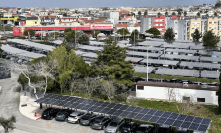 Grupo Brisa quer liderar agenda da transição energética