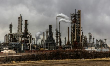 Atraso de Portugal na Estratégia Industrial Verde pode fazer o país perder oportunidades, alerta a Associação ZERO