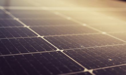 Fundos de Coesão abaixo do necessário para a acção climática, alerta ZERO